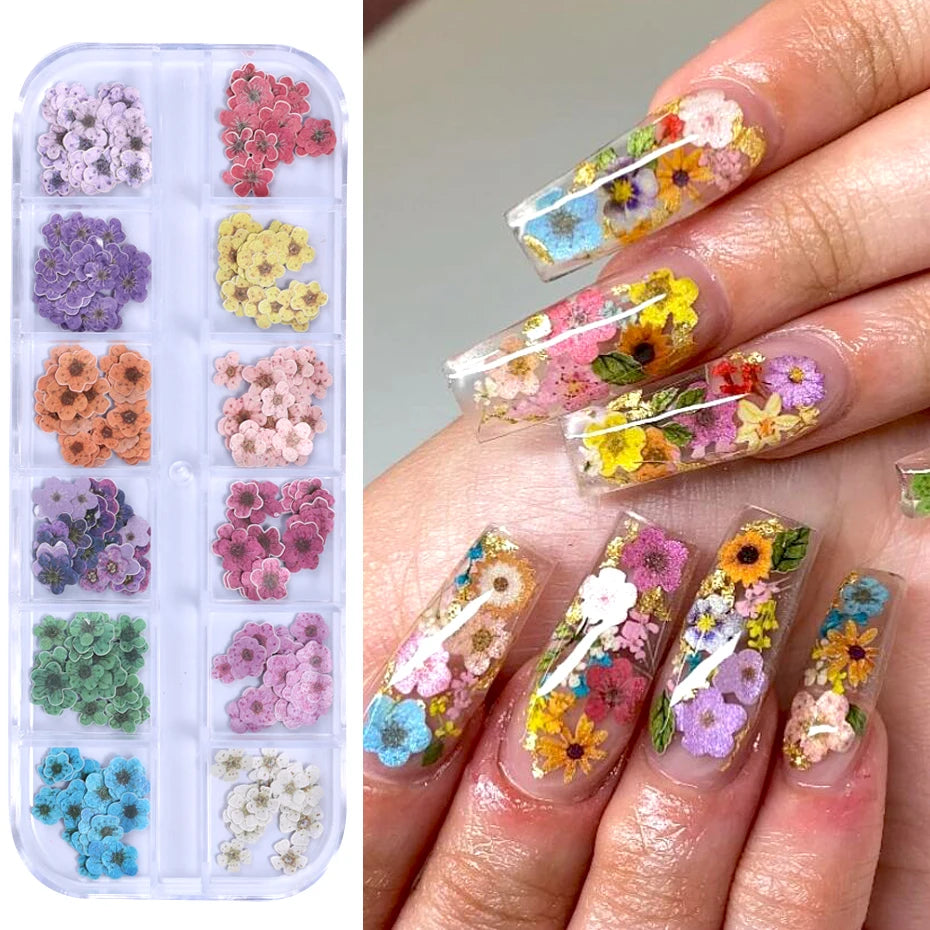 PetalPop Nail Art Set
